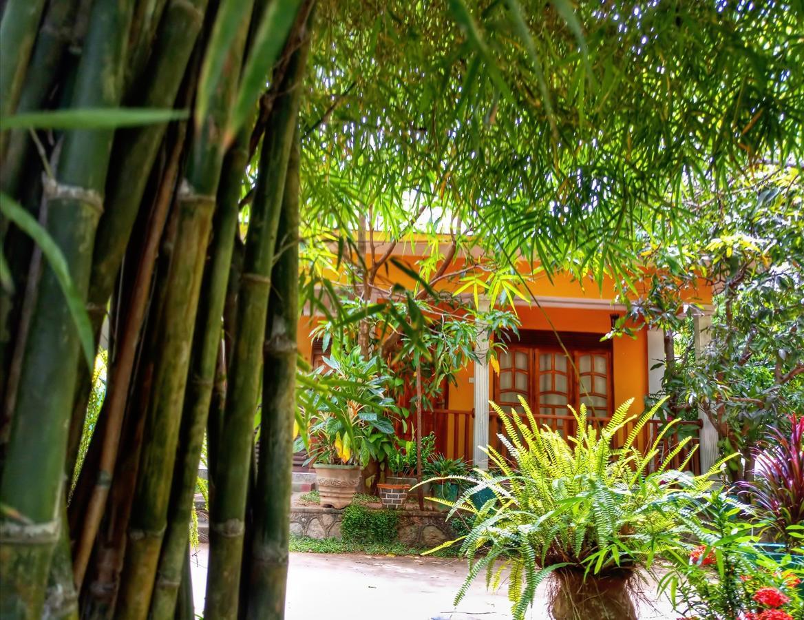 Sigiri Regal Residence Sigiriya Esterno foto
